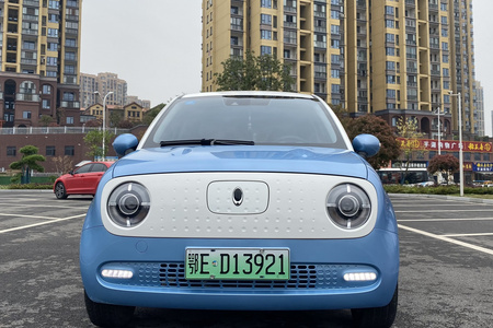 宜昌二手欧拉黑猫 2019款 女神版 351km